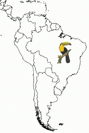 South-America